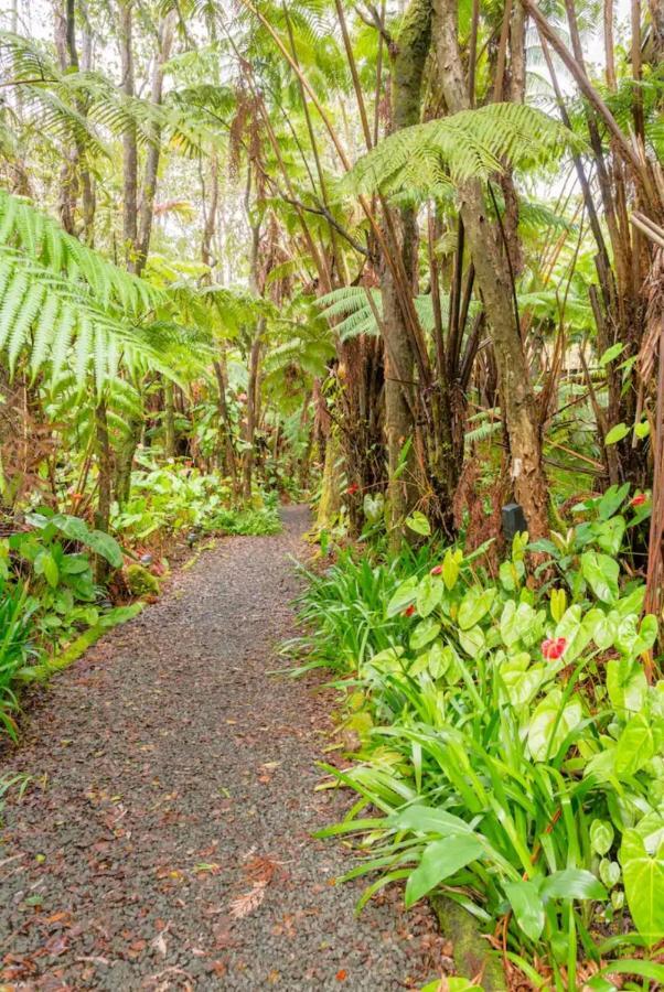 Apartament Kilauea Iki- Hale Kumu La'Au Volcano Zewnętrze zdjęcie